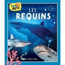 Les requins : Pas si bête