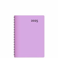 Agenda Buro Lilac Annuel 2025 : Agendas annuels 2025 : De janvier à décembre 2025 : 1 jour  /  1 page