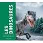 Les dinosaures racontés aux enfants : Raconté aux enfants