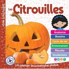 Les citrouilles : Un premier documentaire photos : Mon Louloudoc