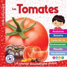 Les tomates : Un premier documentaire photos : Mon Louloudoc