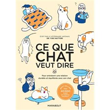 Ce que chat veut dire : Pour entretenir une relation durable et équilibrée avec son chat