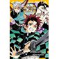 Demon slayer : Kimetsu no yaiba : Roman jeunesse T.04 : Infiltration au quartier des plaisirs : 9-11