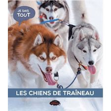 Les chiens de traîneau : Je sais tout : Édition 2024 : Couverture rigide