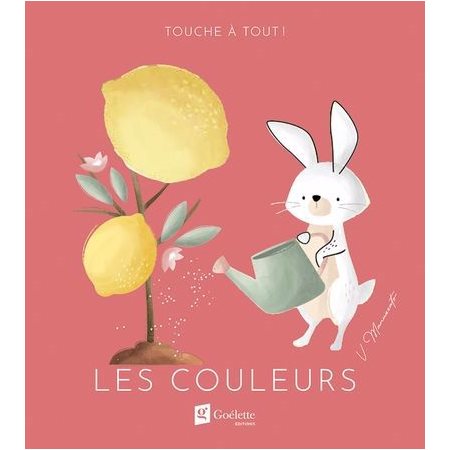 Les couleurs : Touche à tout ! : Livre cartonné