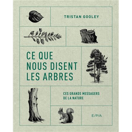 Ce que nous disent les arbres : Nature & aventure