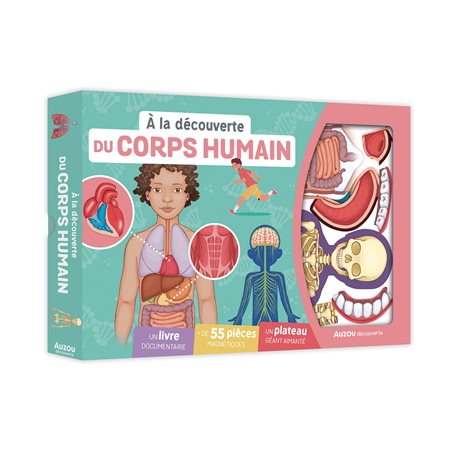 Coffret : A la découverte du corps humain : Mes premiers coffrets d'apprentissage : 6 ans et + : 1 livre documentaire + 55 pièces magnétiques + 1 plateau géant aimanté