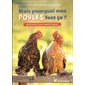 Mais pourquoi mes poules font ça ? : Décryptez leur comportement : Conseils d'expert