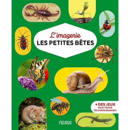 Les petites bêtes : Imagerie ...