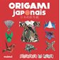 Origami japonais : Détacher et plier : 100 feuilles d'origami en 20 motifs et couleurs différentes + 8 modèles faciles