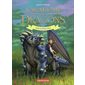 L'académie des dragons T.06 : Erin et Brise-Roc : 6-8
