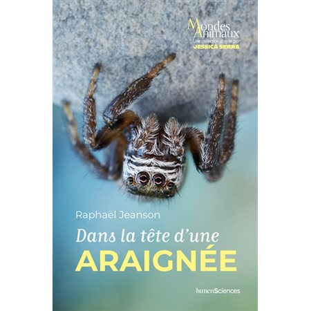 Dans la tête d'une araignée : Mondes animaux