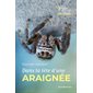 Dans la tête d'une araignée : Mondes animaux