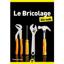 Le bricolage pour les nuls (FP) : Pour les nuls, poche