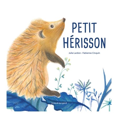 Petit hérisson : Livre cartonné