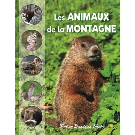 Les animaux de la montagne : Tout un monde en photos : Nouvelle édition 2024