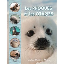 Les phoques et les otaries : Tout un monde en photos : Nouvelle édition 2024