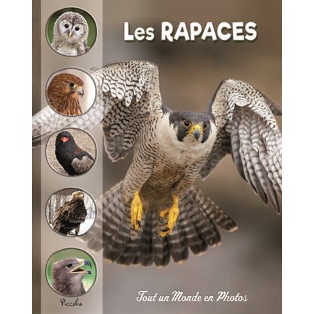 Les rapaces : Tout un monde en photos : Nouvelle édition 2024