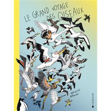 Le grand voyage des oiseaux : Livre cartonné