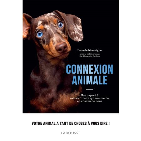 Connexion animale : Une capacité extraordinaire qui sommeille en chacun de nous