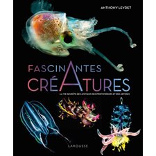 Fascinantes créatures : La vie secrète des animaux des profondeurs et des abysses