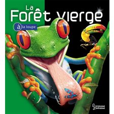 La forêt vierge : A la loupe