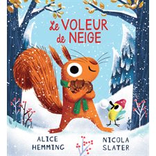 Le voleur de neige : Couverture souple