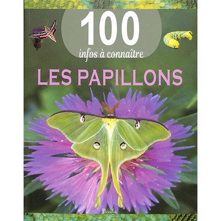 Les papillons, 100 infos à connaître