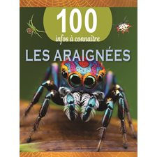 Les araignées, 100 infos à connaître