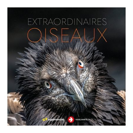 Extraordinaires oiseaux