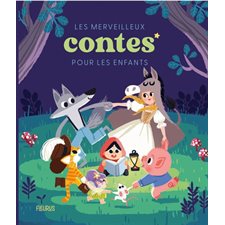 Les merveilleux contes pour les enfants : Histoires du soir : Couverture rigide