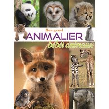 Mon grand animalier bébés animaux