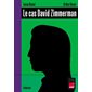 Le cas David Zimmerman : Bande dessinée