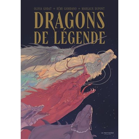 Dragons de légende : Couverture rigide