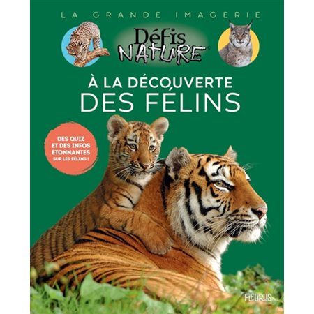 A la découverte des félins : Des quiz et des infos étonnantes sur les félins ! : La grande imagerie. Défis nature : 1re édition