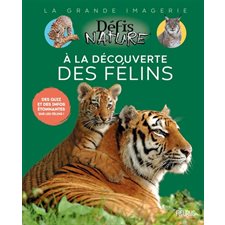 A la découverte des félins : Des quiz et des infos étonnantes sur les félins ! : La grande imagerie. Défis nature : 1re édition