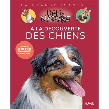 A la découverte des chiens : Des quiz et des infos étonnantes sur les chiens ! : La grande imagerie. Défis nature : 1re édition