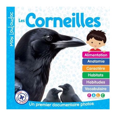 Les corneilles : Un premier documentaire photos : Mon Louloudoc