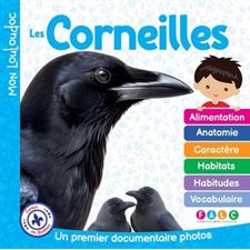 Les corneilles : Un premier documentaire photos : Mon Louloudoc