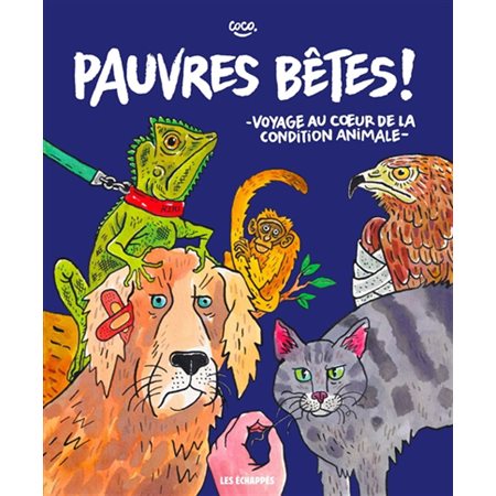 Pauvres bêtes ! : Voyage au coeur de la condition animale : Bande dessinée