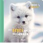 Les bébés animaux du Canada : Mon premier doc photo