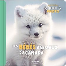 Les bébés animaux du Canada : Mon premier doc photo