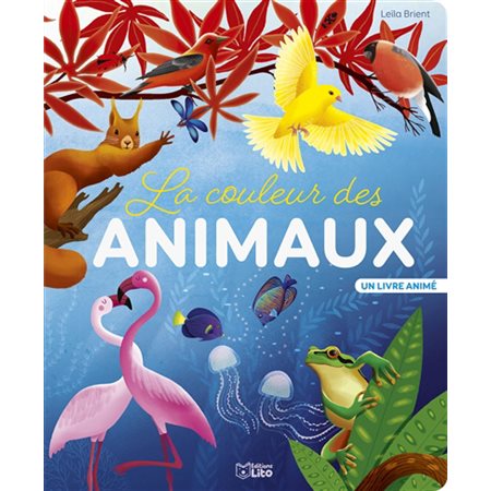 La couleur des animaux : Un livre animé : Livre cartonné