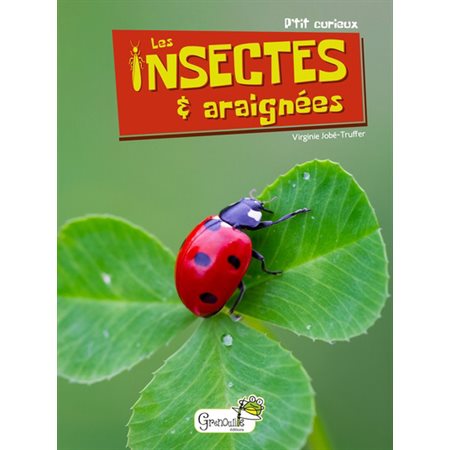 Les insectes & araignées : P'tit curieux