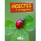 Les insectes & araignées : P'tit curieux