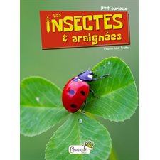 Les insectes & araignées : P'tit curieux