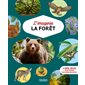 La forêt, Imagerie...