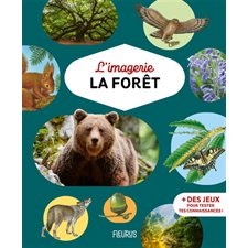 La forêt, Imagerie...