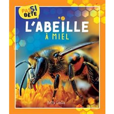 L'abeille à miel : Pas si bête : 7 ans et +