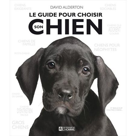 Le guide pour choisir son chien : Chiens de famille, petits chiens, chiens exigeants, chiens sociables, chiens qui adorent courir, etc.